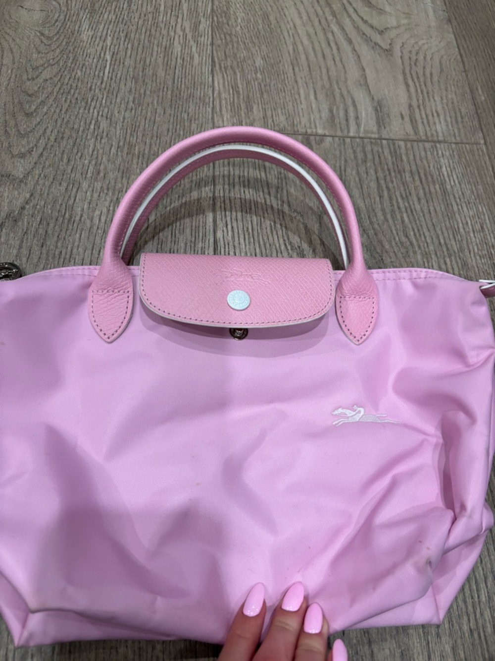 Pink Long champ small bag